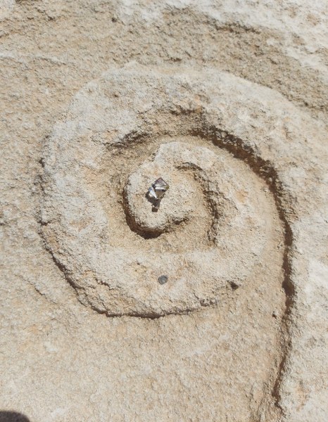 Kristal in Spiraal Pulpi