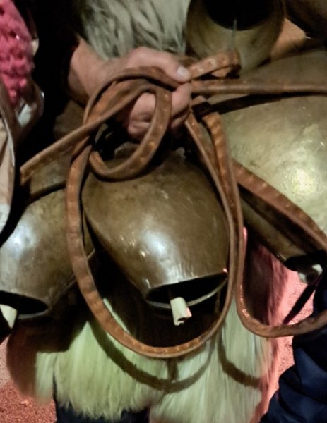 30 kg bellen