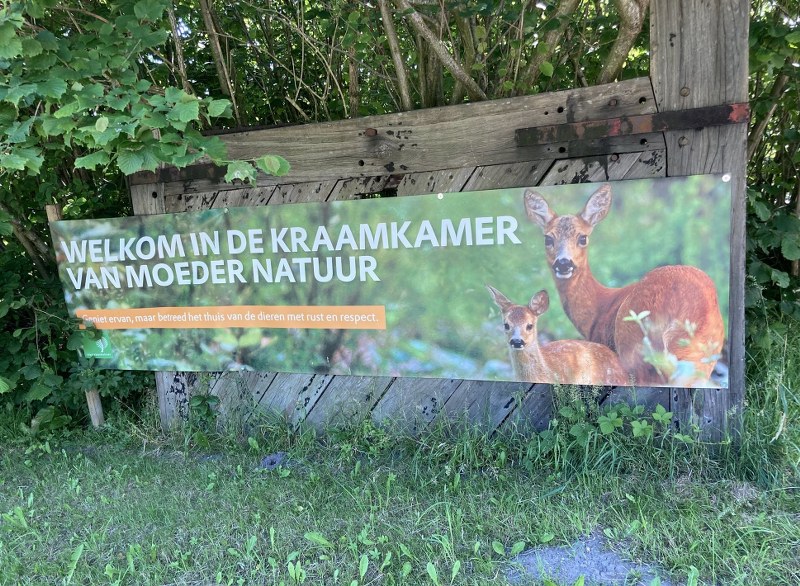 2022 06 23 bord in bos Wieringerveld