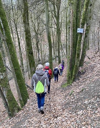 On the road to the Well