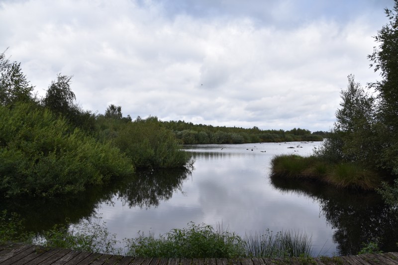meer in de Peele